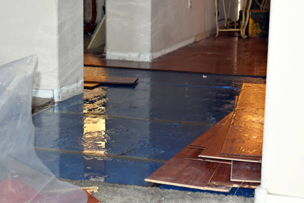 Professional Flood Damage Repair technician working in Portersville, PA